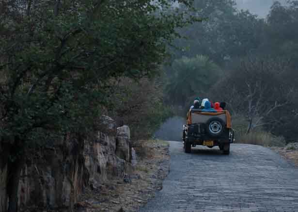 Kanha National Park landscape