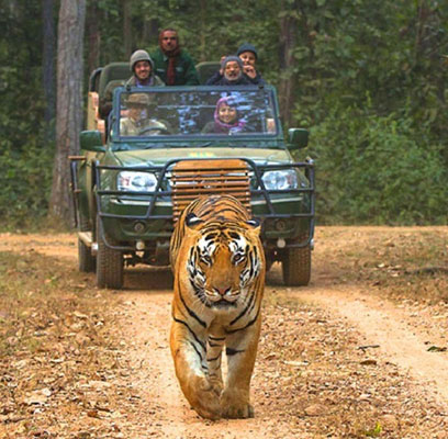 kanha safari booking official website