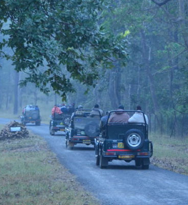 jeep safari in kanha