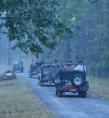 kanha visit time