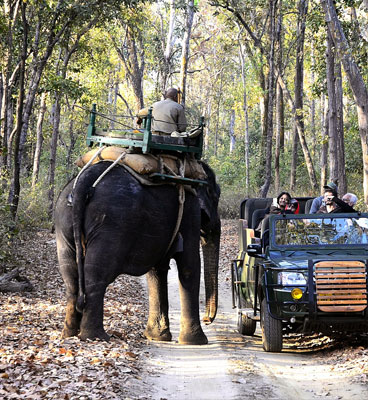 safari zone in kanha