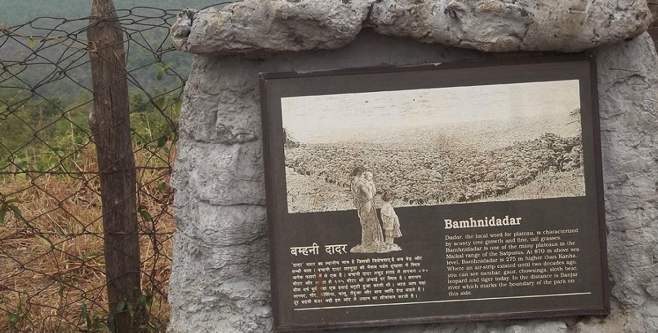 Exploring the Wilderness: Bamni Dadar near Kanha National Park
