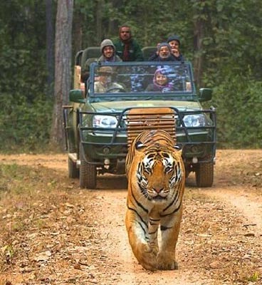 kanha tour