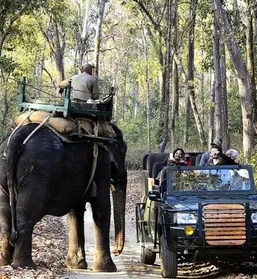 how to plan kanha tour