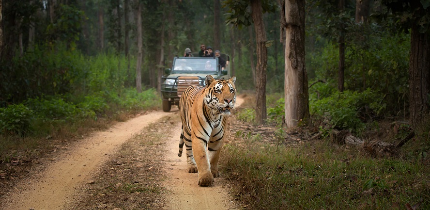 jeep safari kanha