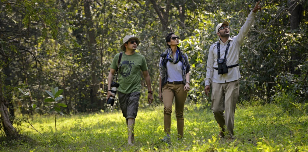 walking safari kanha