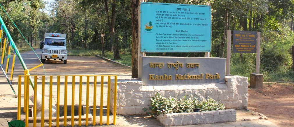 A Complete Guide to Book Safaris in Kanha, Kisli & Mukki Zones
