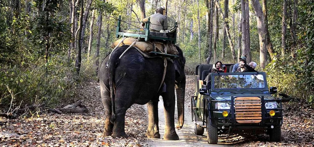 Kanha National Park - The Best Short Getaway to Plan in October
