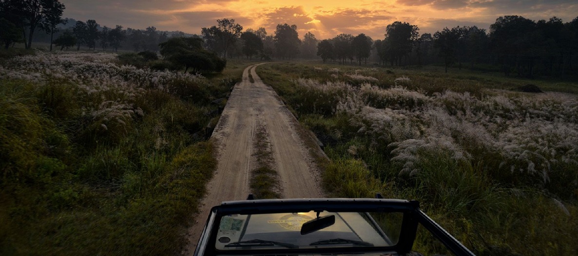 Supreme Court Bans Night Safari in Kanha from December 1