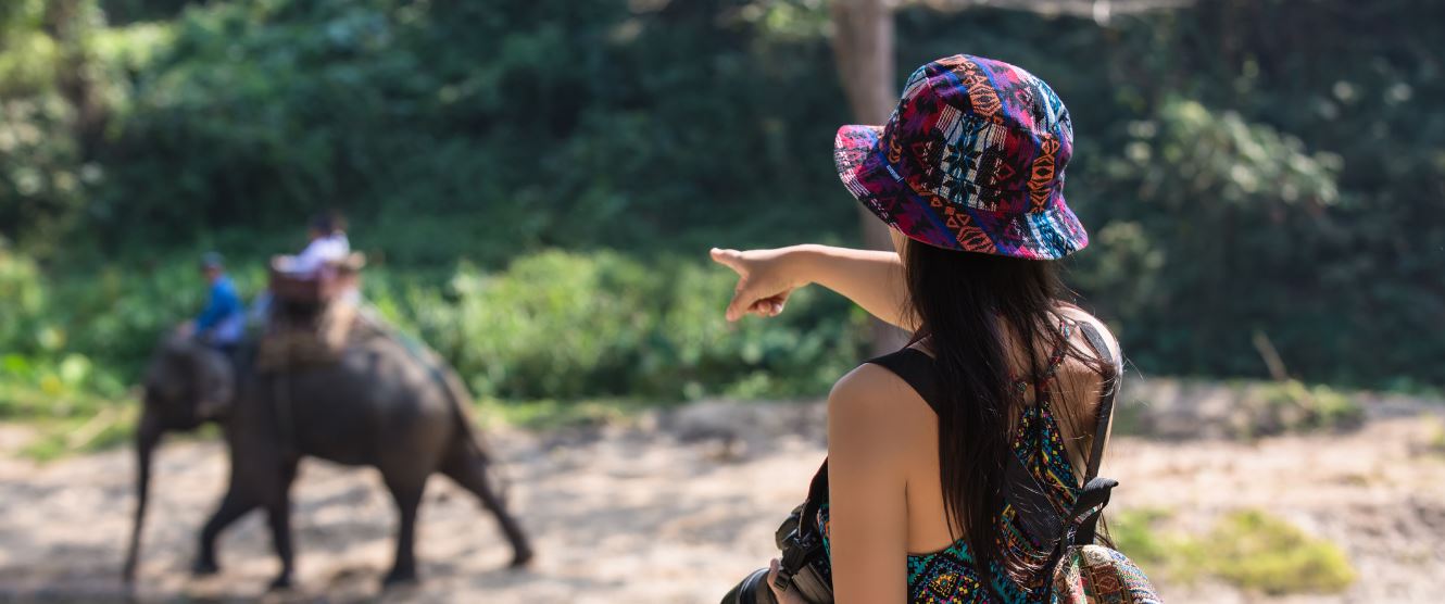 A 3-Day Itinerary for a Perfect Kanha Family Tour