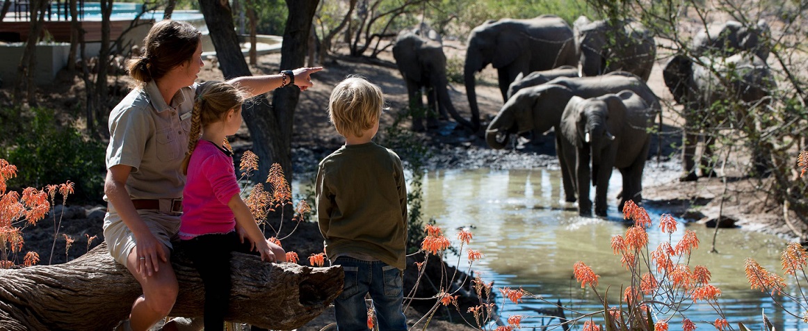 Common Mistakes to Avoid in a Kanha Wildlife Trip with Kids